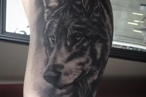 Nick Iliopoulos in Hamburg